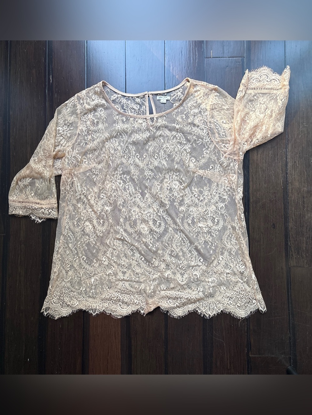 Ultra Pink Sheer Lace Blouse in Blush XXL Coquette Y2K Southern Belle